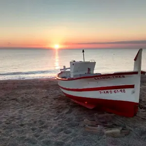 Flamencos Espagne