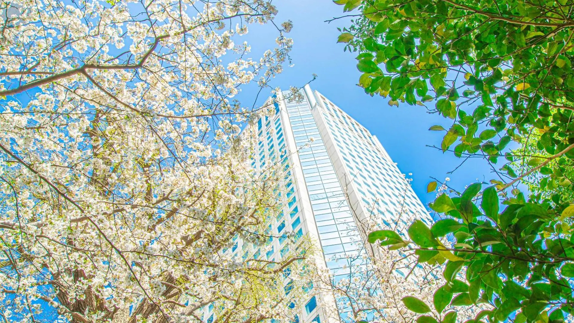 Shinagawa Prince Hotel Tokio